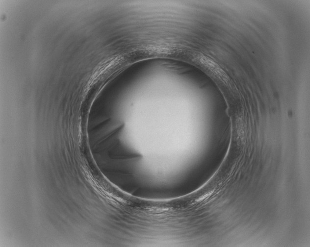 X0000059080494200510211545