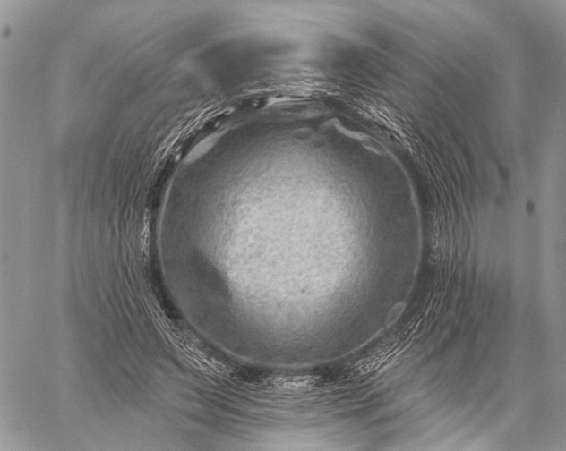 X0000059080495200510211545