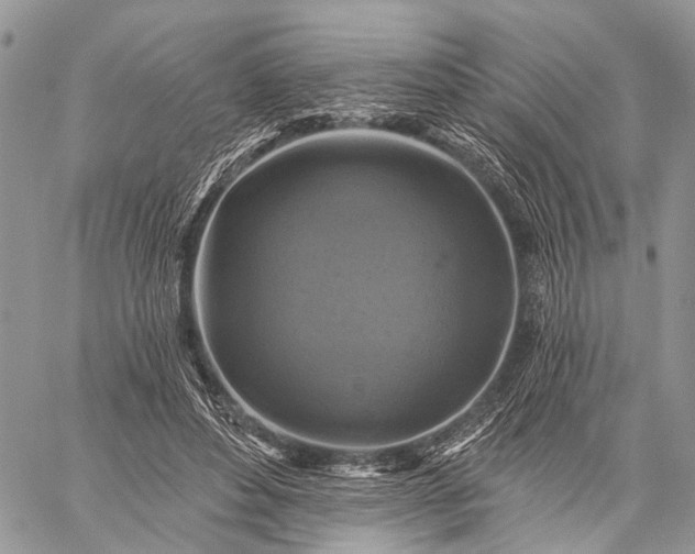 X0000059080496200510211545