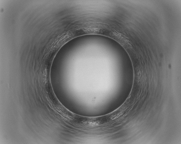 X0000059080498200510211545