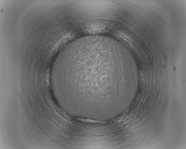 X0000059080499200510211545