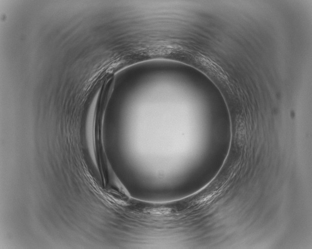 X0000059080501200510211545