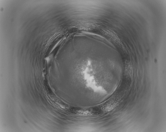 X0000059080502200510211545