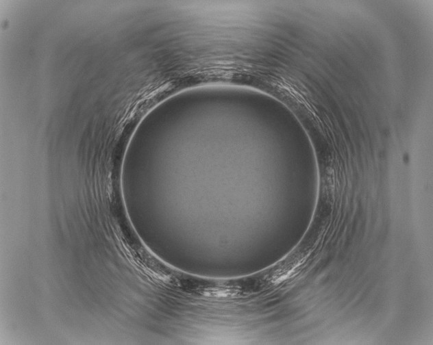 X0000059080504200510211545