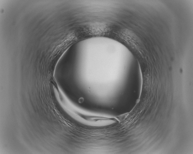 X0000059080505200510211545