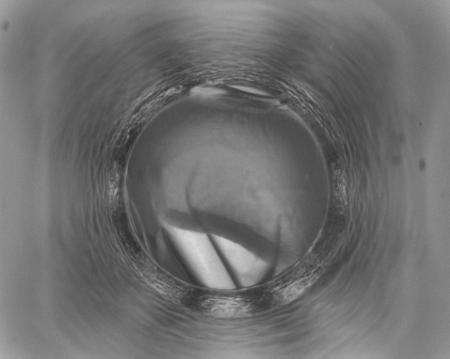 X0000059080507200510211545