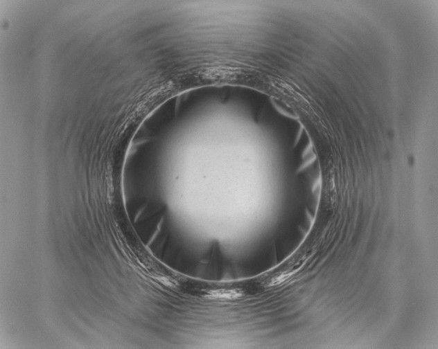 X0000059080508200510211545