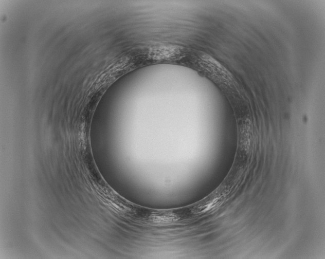 X0000059080510200510211545