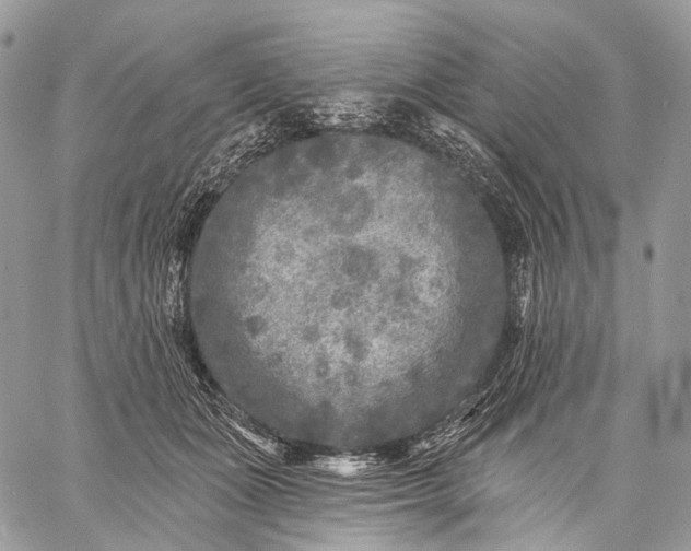 X0000059080511200510211545