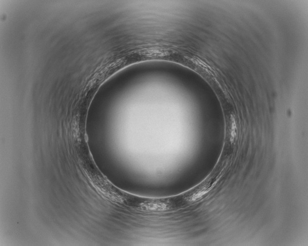 X0000059080512200510211545