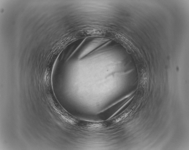 X0000059080513200510211545