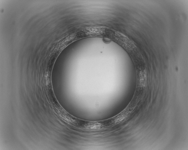 X0000059080514200510211545