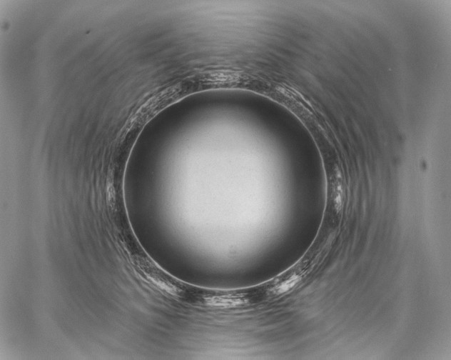 X0000059080516200510211545