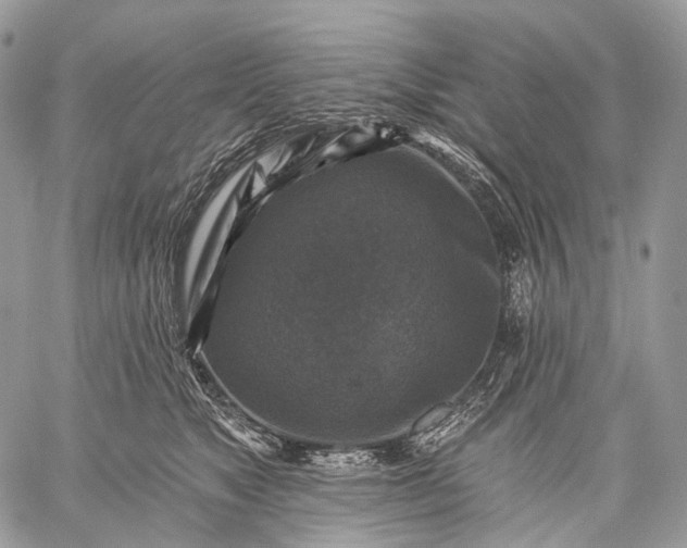 X0000059080517200510211545