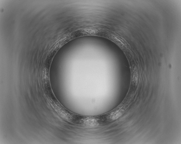 X0000059080518200510211545