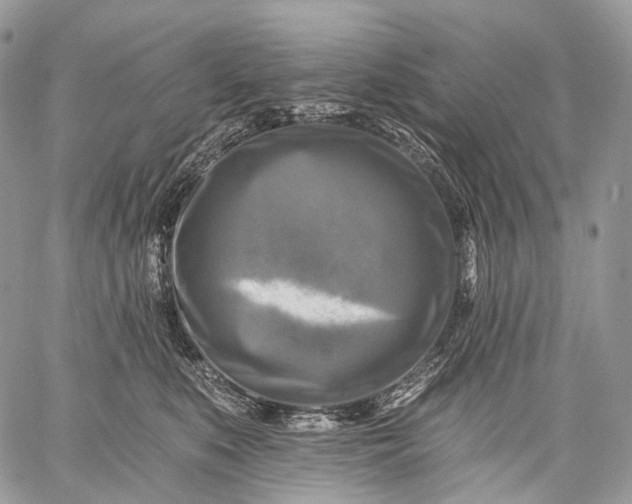 X0000059080519200510211545