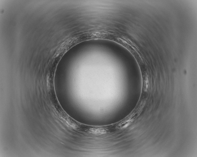 X0000059080520200510211545