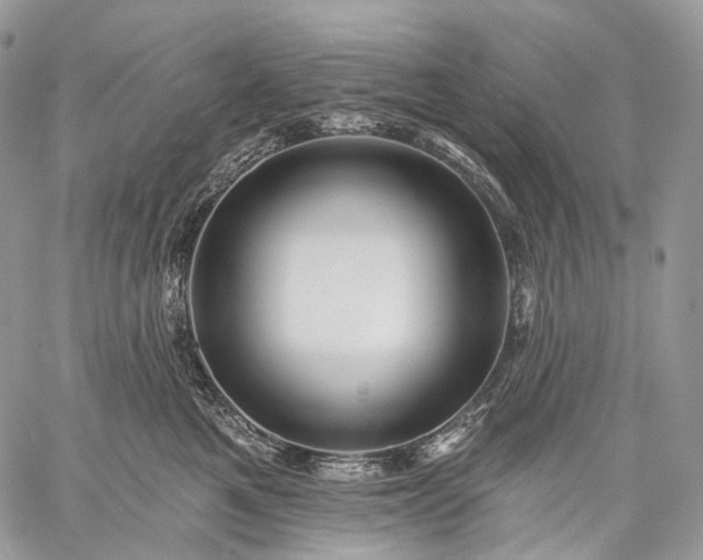 X0000059080521200510211545