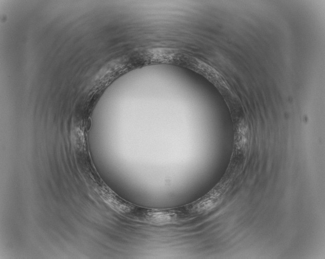 X0000059080522200510211545