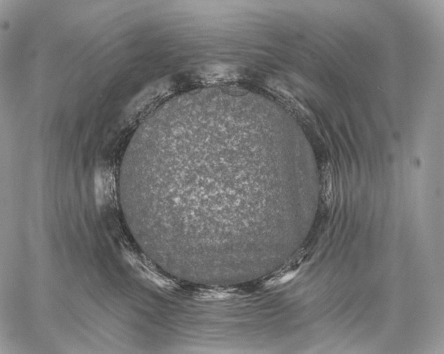 X0000059080523200510211545