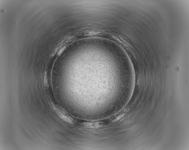 X0000059080524200510211545