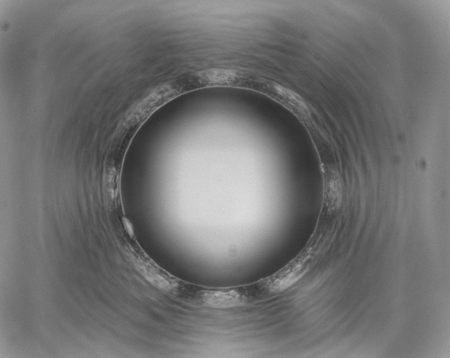 X0000059080525200510211545