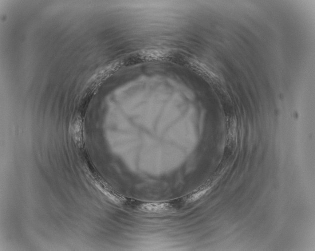 X0000059080526200510211545