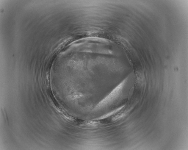 X0000059080527200510211545