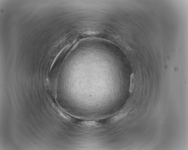 X0000059080528200510211545