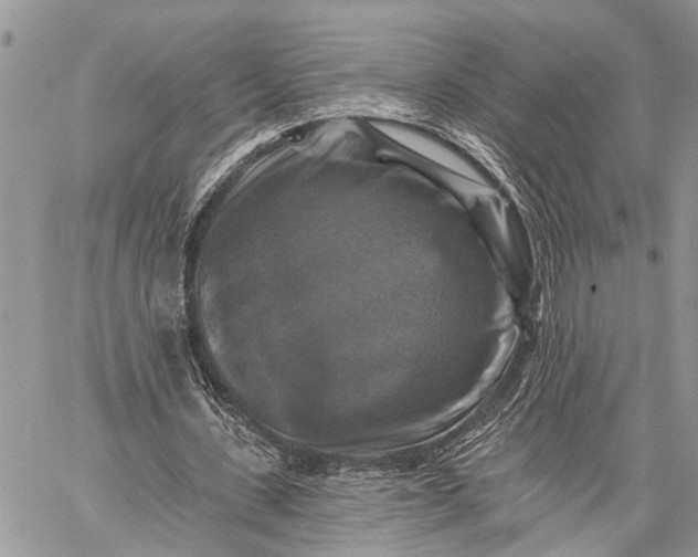 X0000059080531200510211544