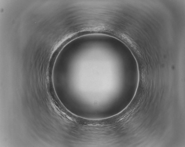 X0000059080532200510211544