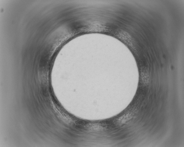 X0000059080534200510211544