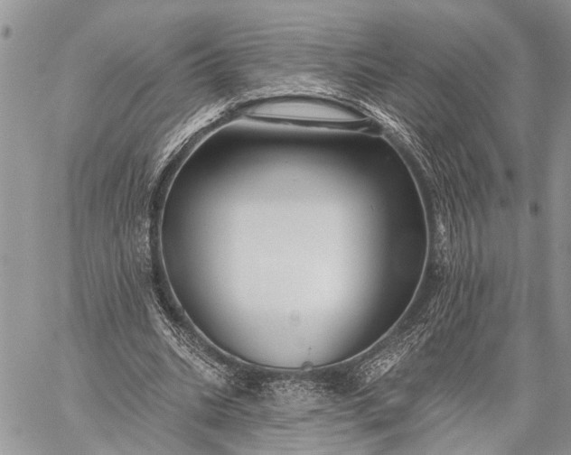 X0000059080535200510211544