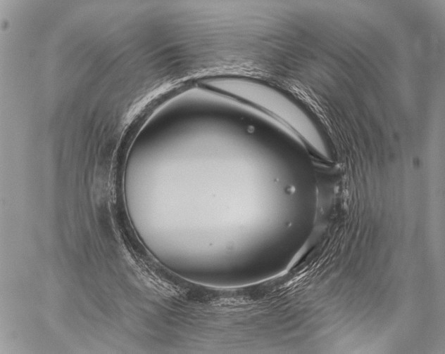 X0000059080536200510211544