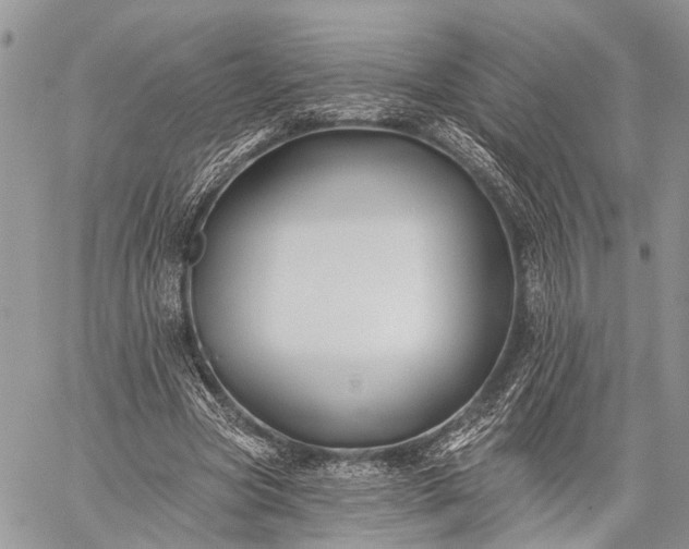 X0000059080537200510211544