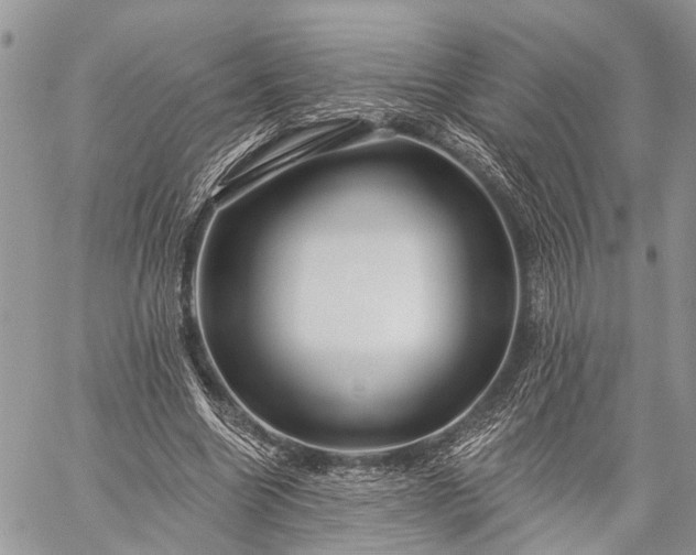 X0000059080538200510211544