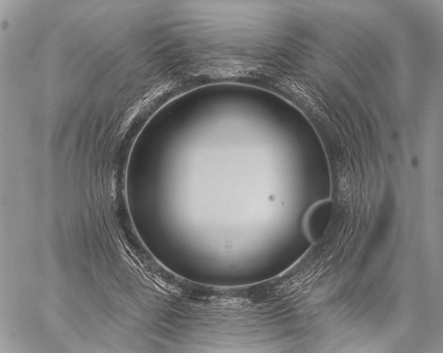 X0000059080539200510211544