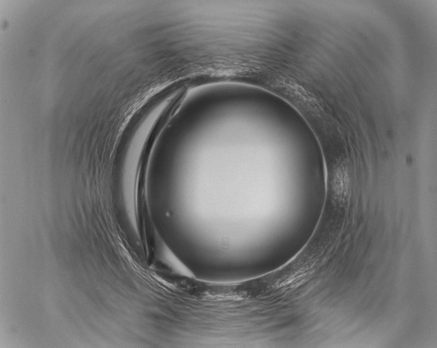 X0000059080540200510211544