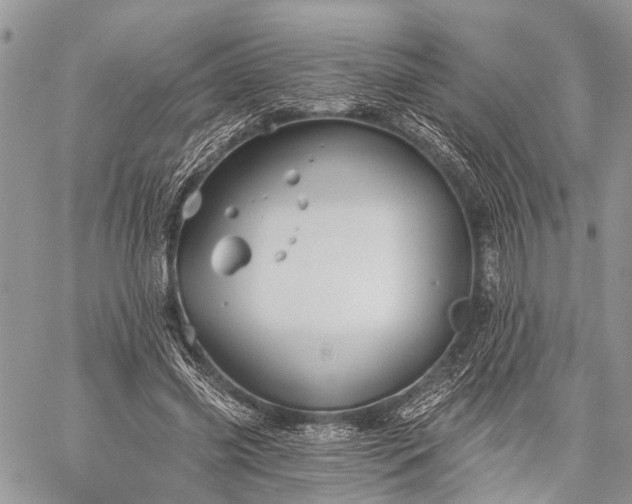 X0000059080541200510211544