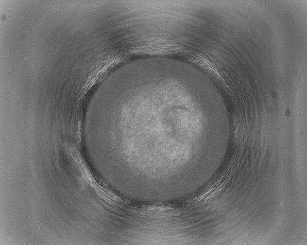 X0000059080542200510211544