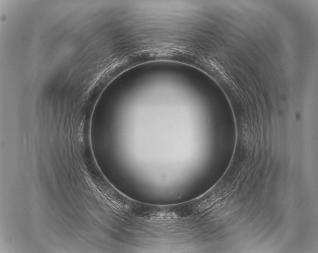 X0000059080543200510211544