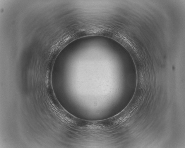 X0000059080545200510211544