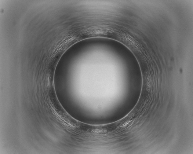 X0000059080546200510211544