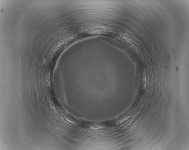 X0000059080547200510211544