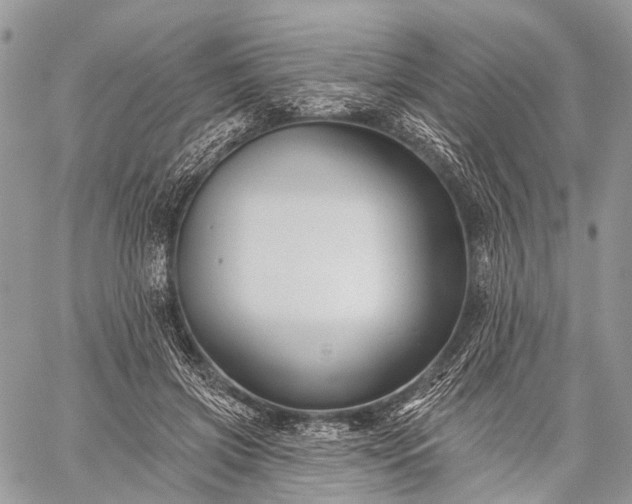 X0000059080549200510211544