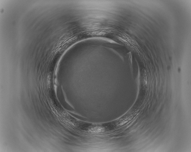 X0000059080551200510211544