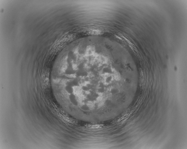 X0000059080553200510211544