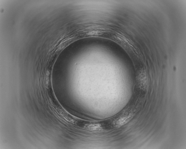 X0000059080554200510211544