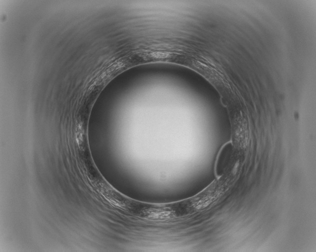 X0000059080555200510211544