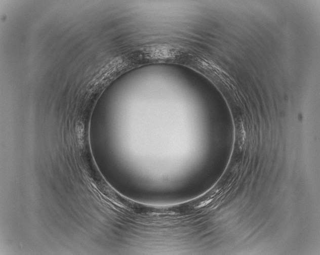 X0000059080556200510211544